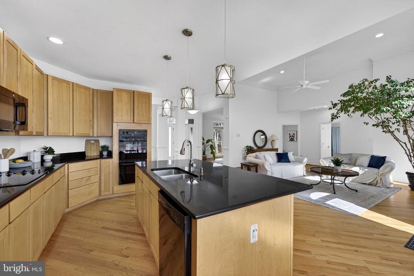 16199 Covey Circle photo 21