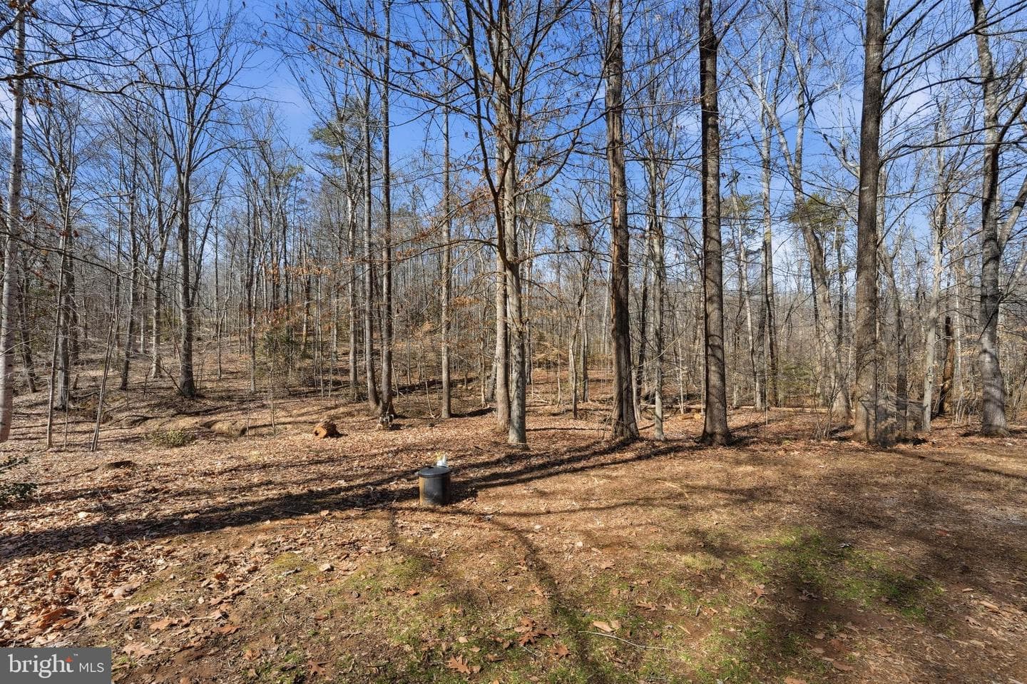 6052 Bilal Court photo 39