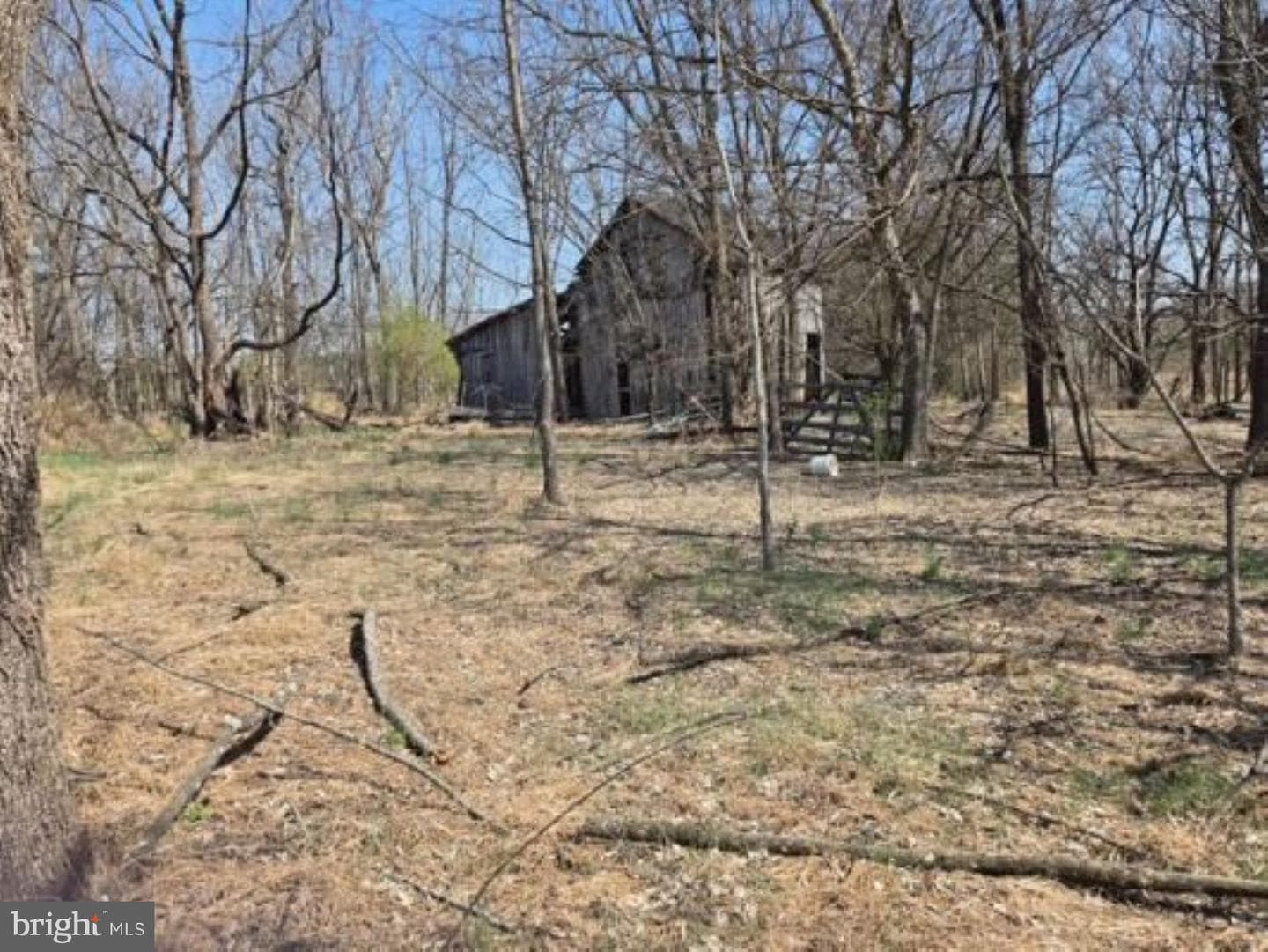 11419 Twin Mountains Road photo 6