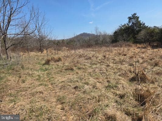 11419 Twin Mountains Road photo 7
