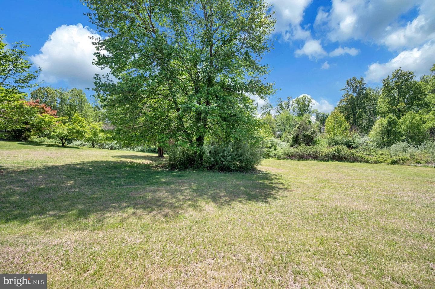 15025 Woodland Church Road photo 6