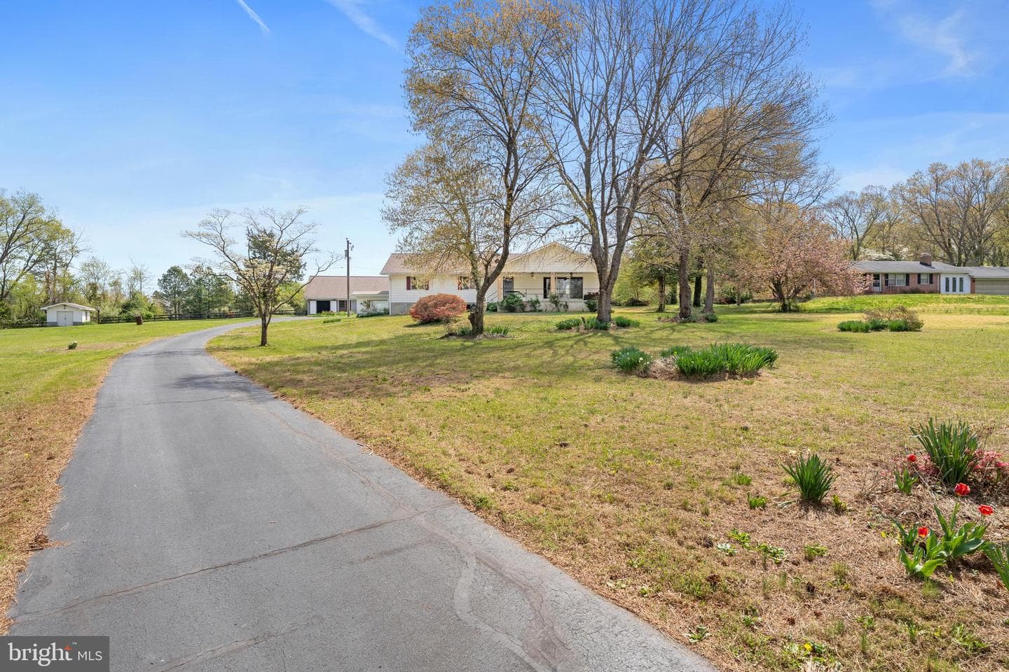 13349 Brock Lane photo 6