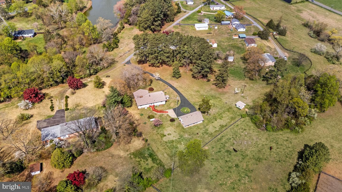 13349 Brock Lane photo 63