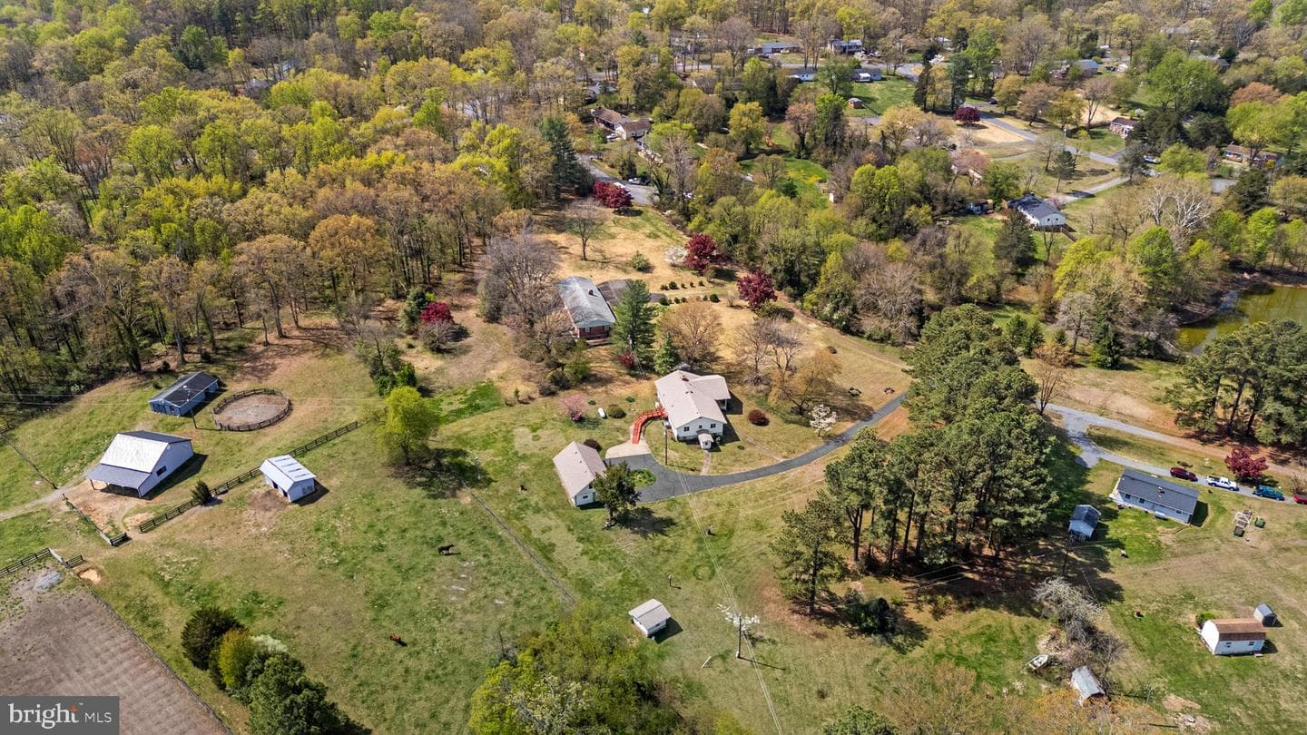 13349 Brock Lane photo 73