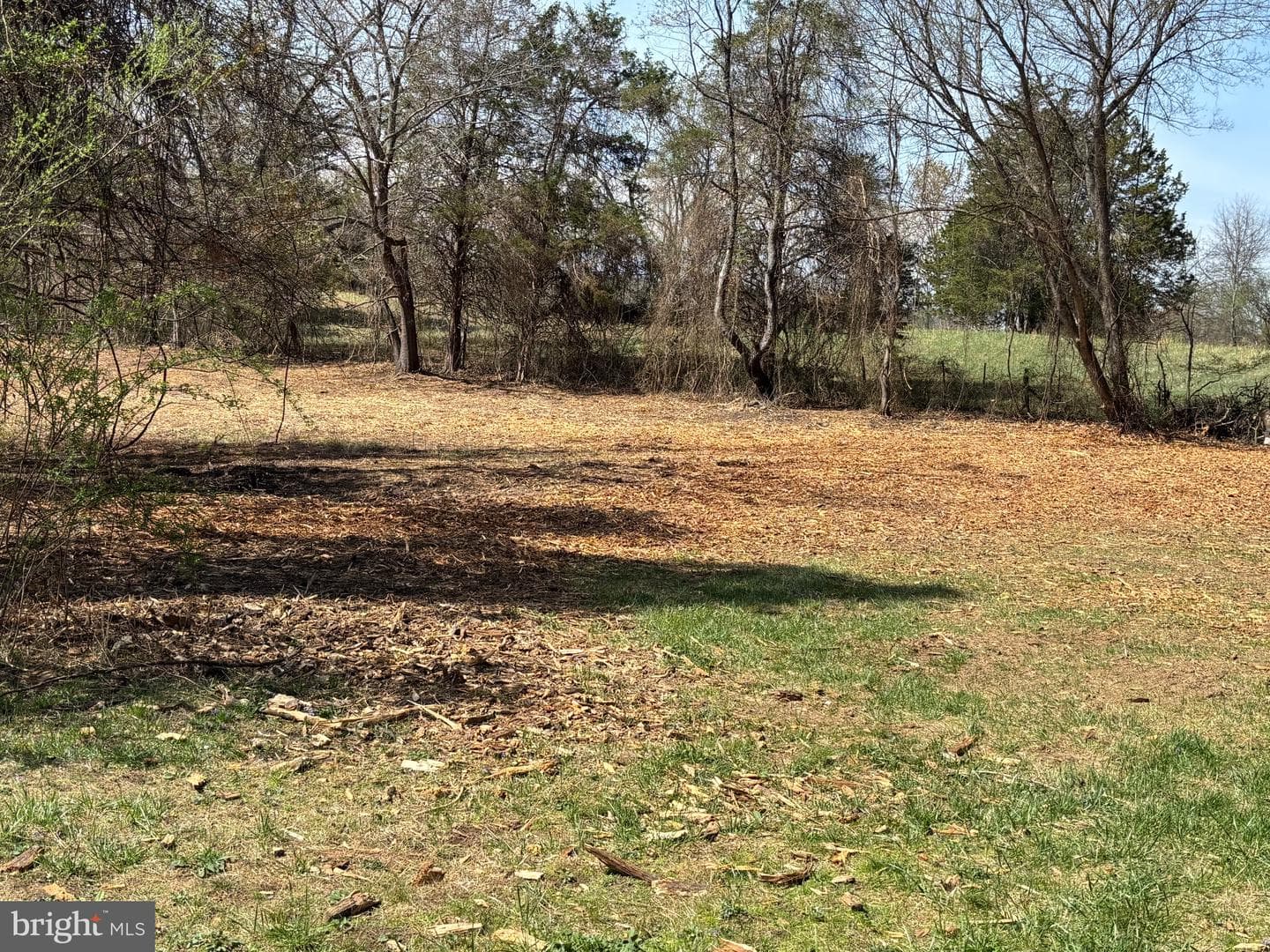 2502 Holly Springs Drive photo 47