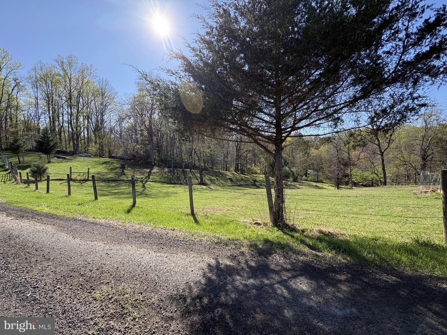 10468 La Grant Lane photo 36