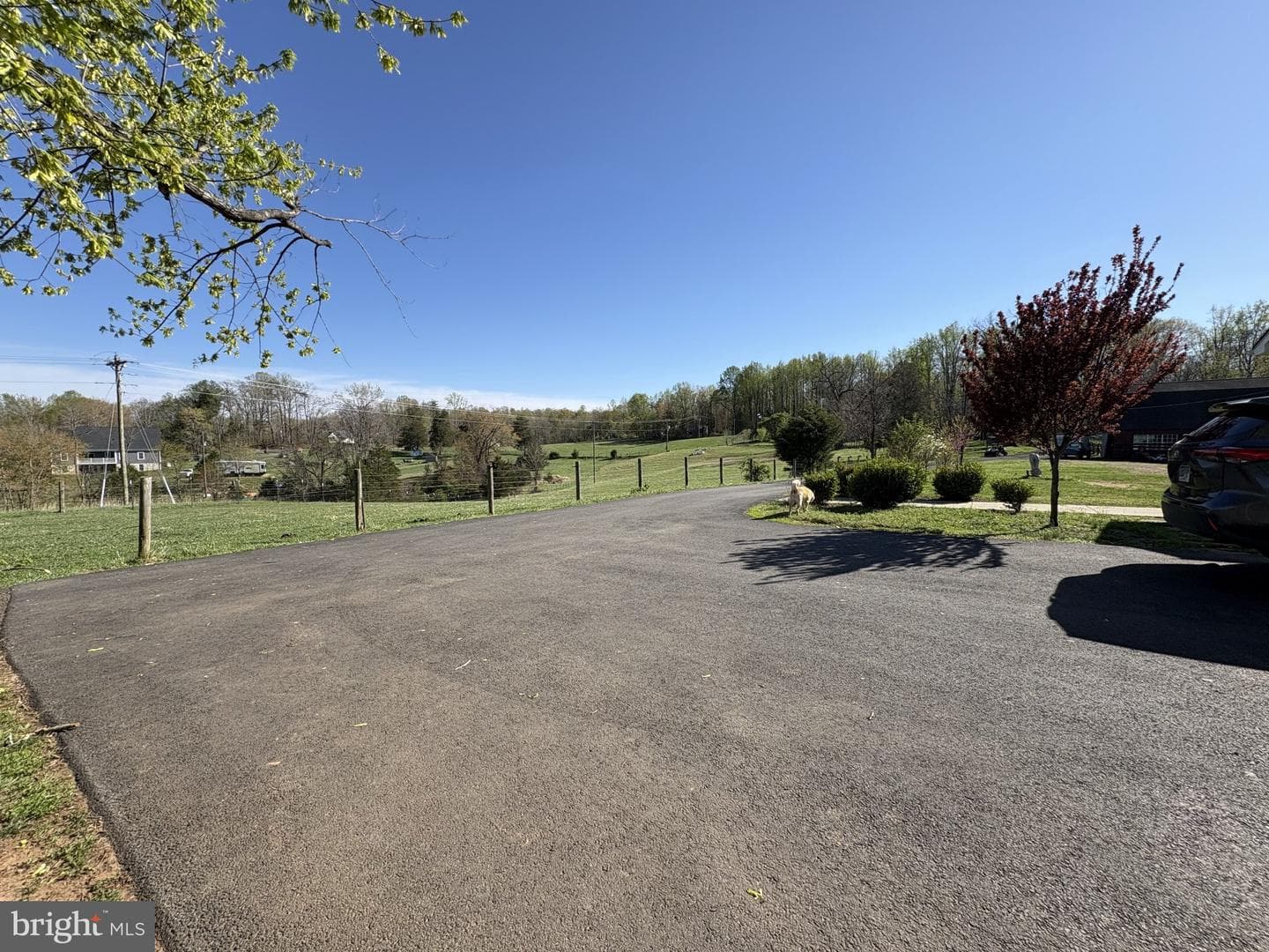10468 La Grant Lane photo 48