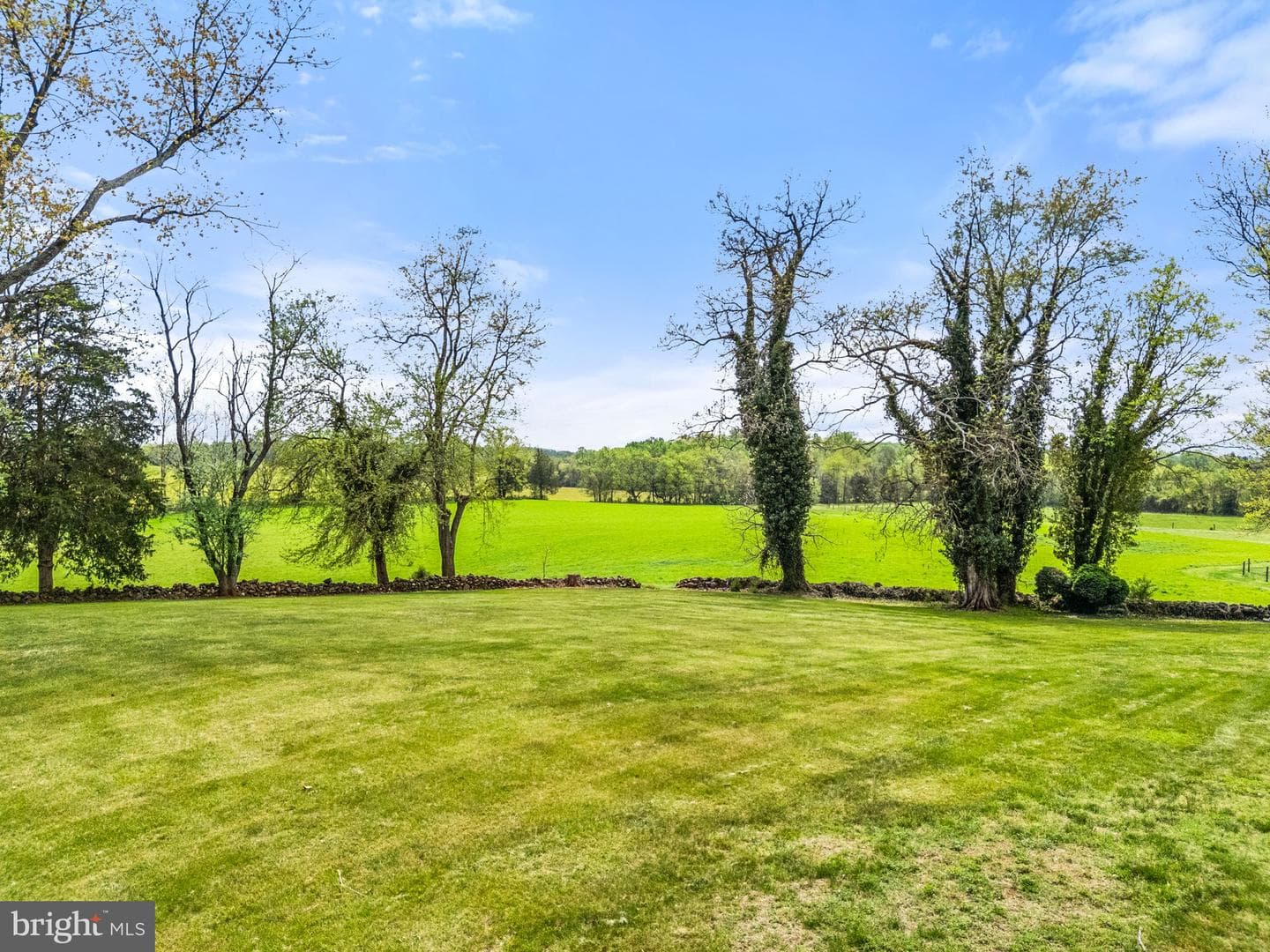 17280 Reid Road photo 123