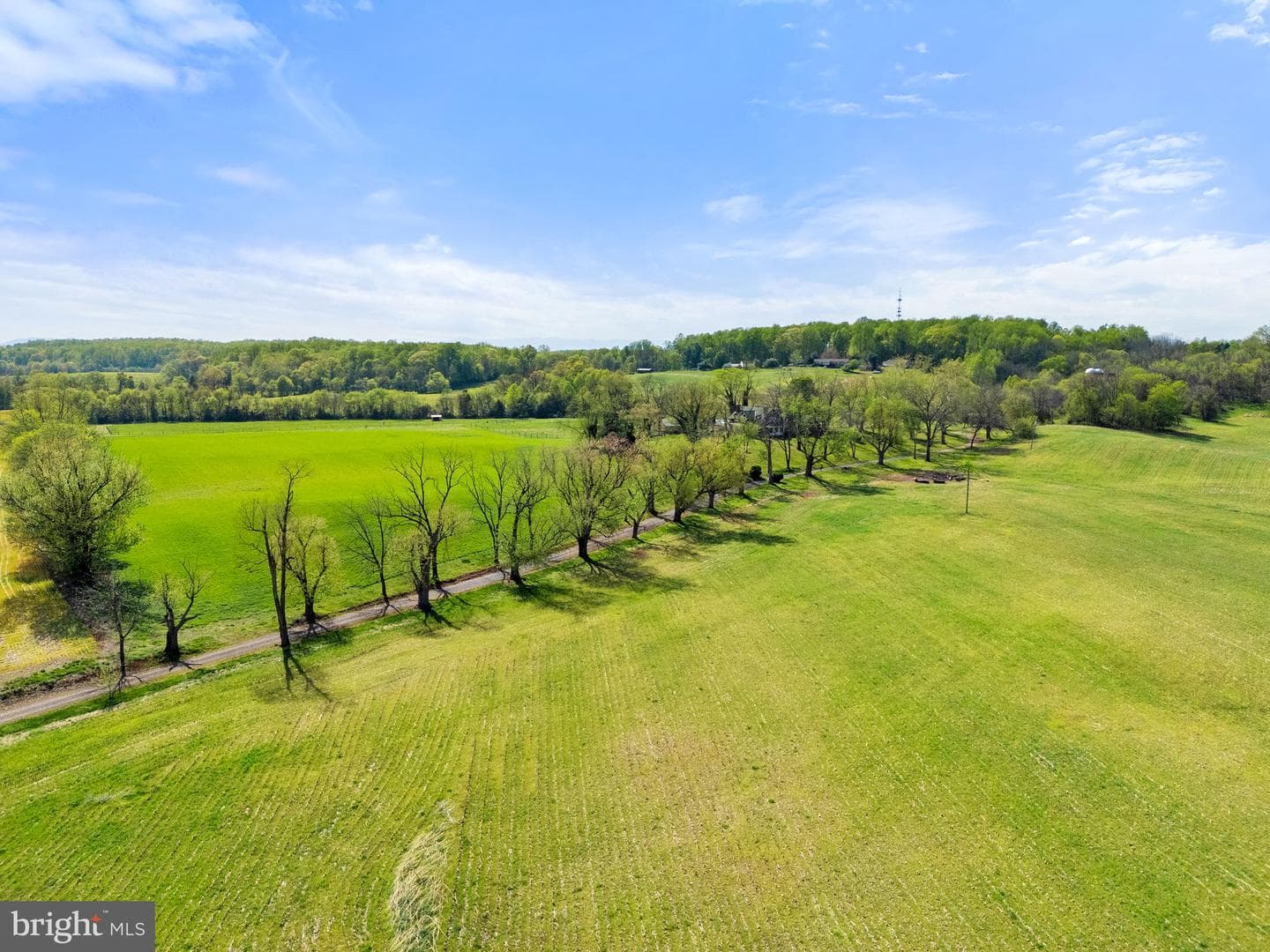 17280 Reid Road photo 138