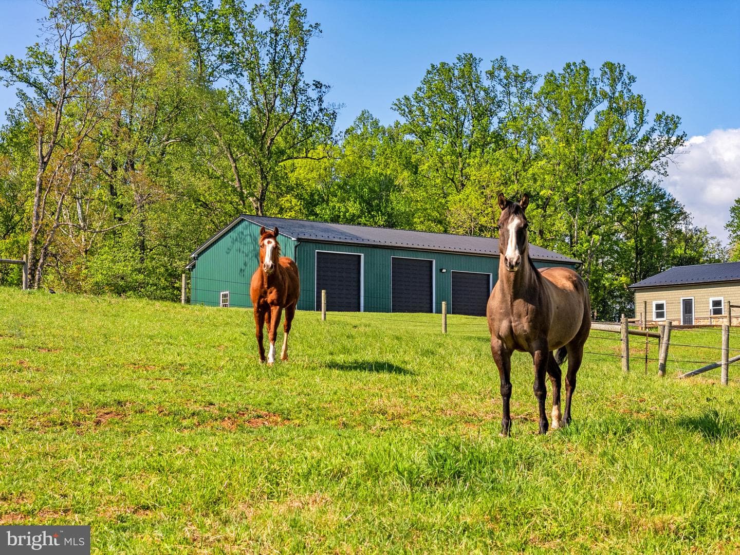 11194 Homeland Rd photo 148