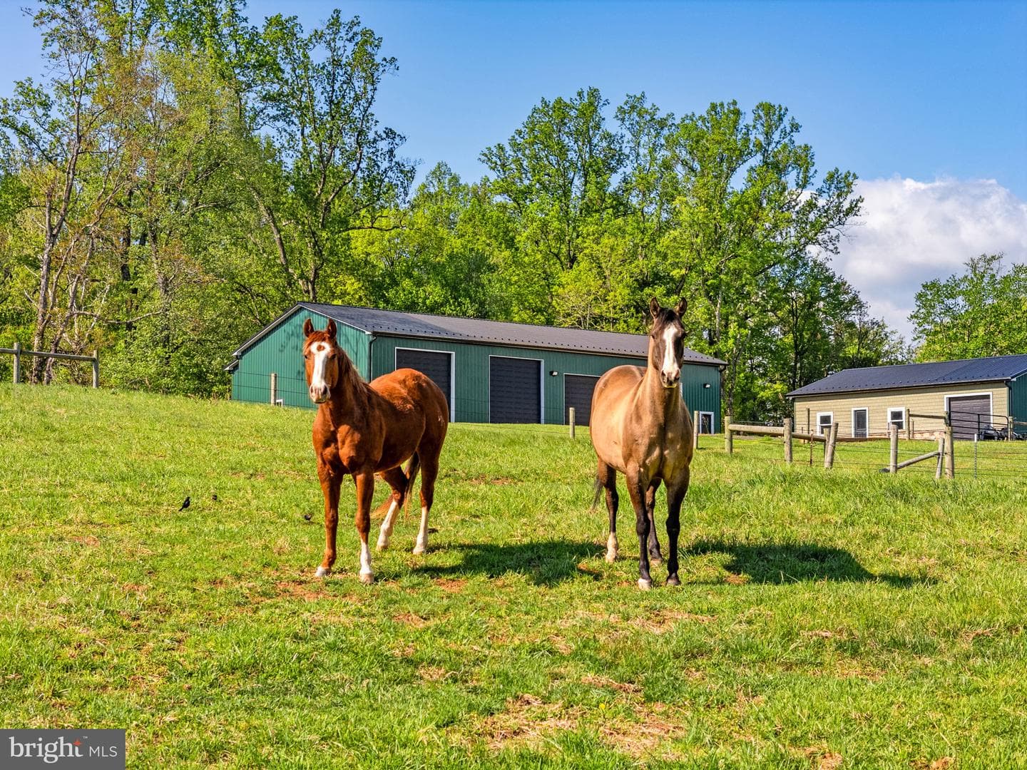 11194 Homeland Rd photo 149