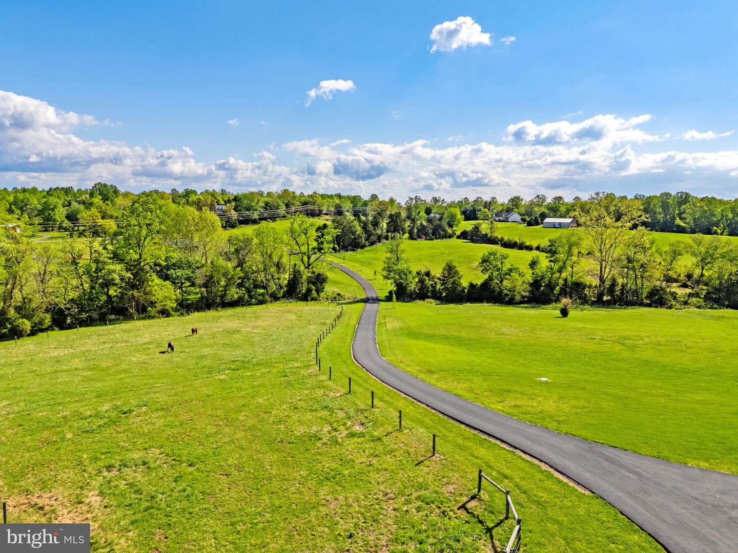 11194 Homeland Rd photo 4