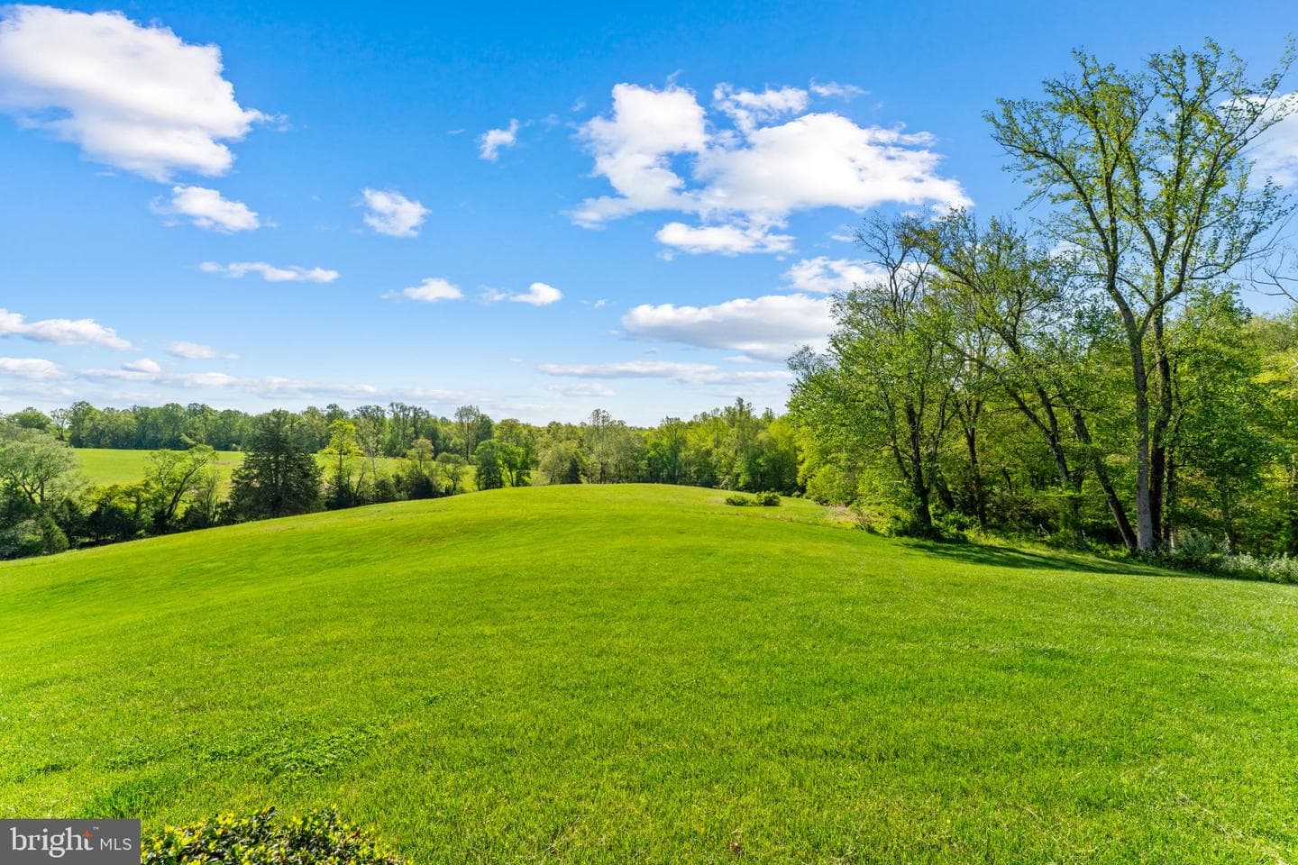 11194 Homeland Rd photo 99