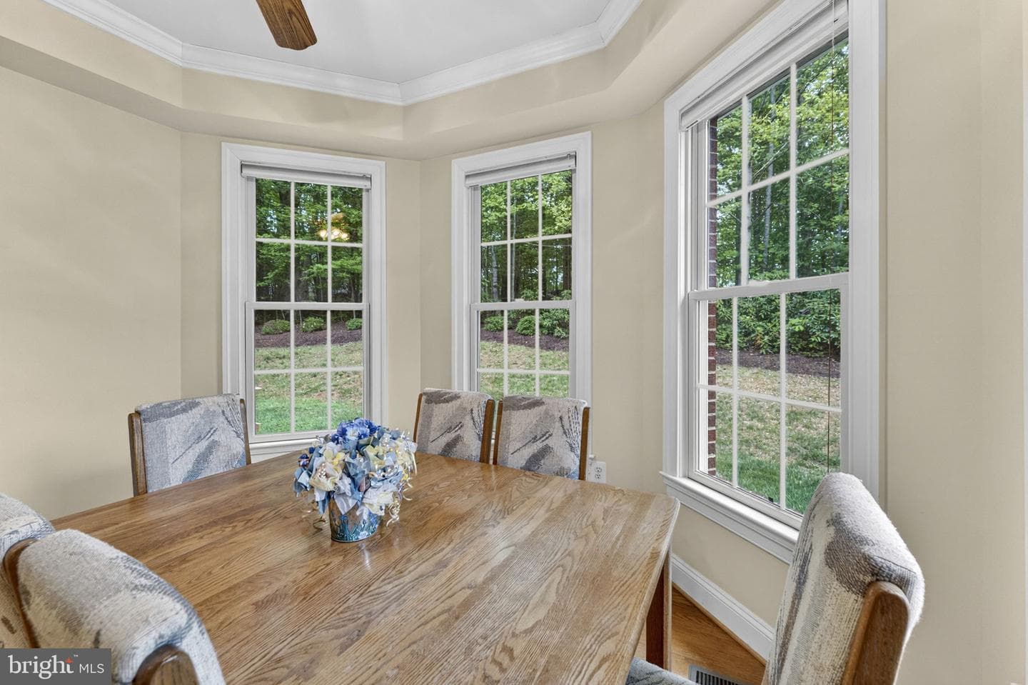 11186 Pimlico Circle photo 45