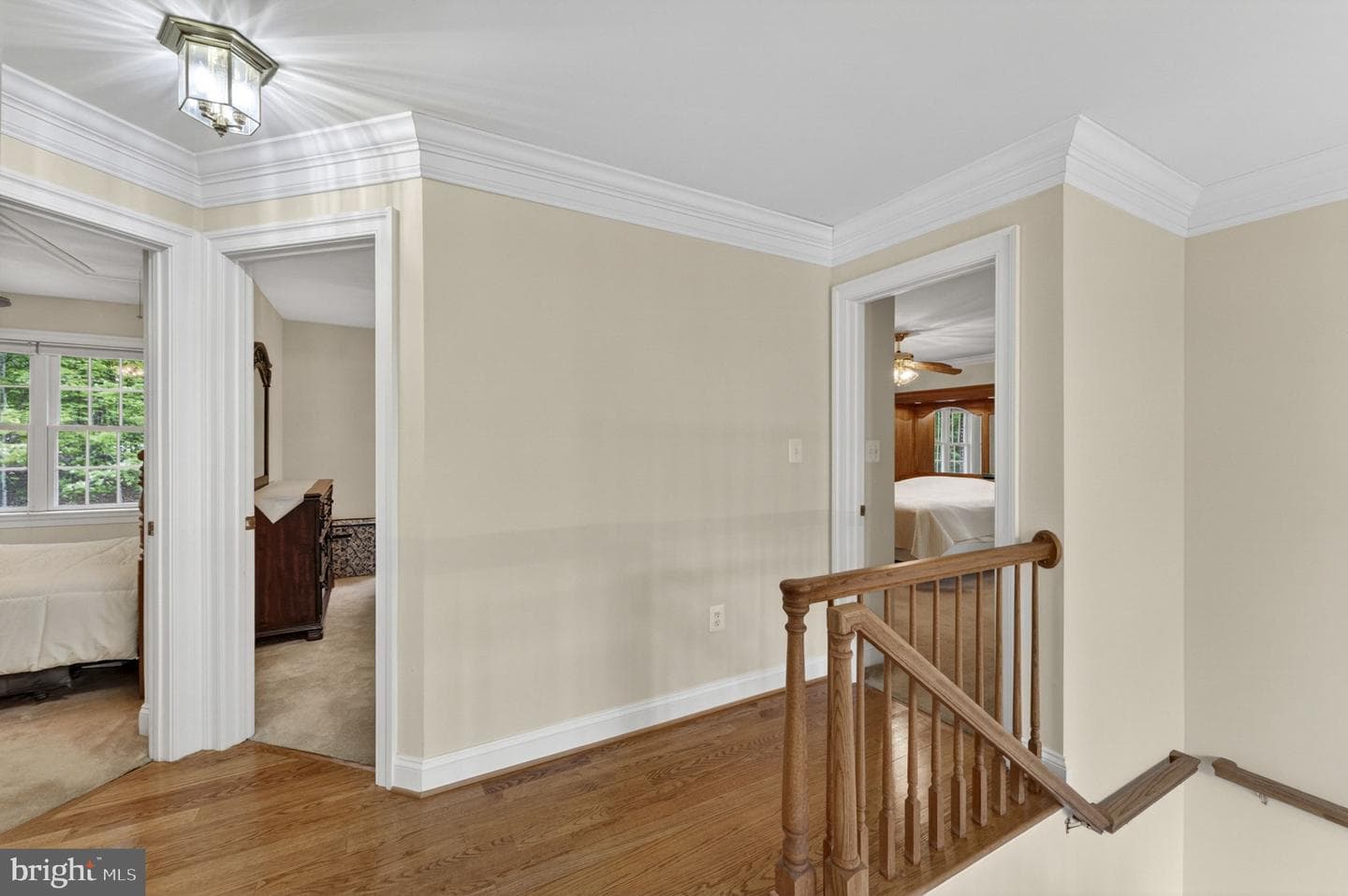 11186 Pimlico Circle photo 50