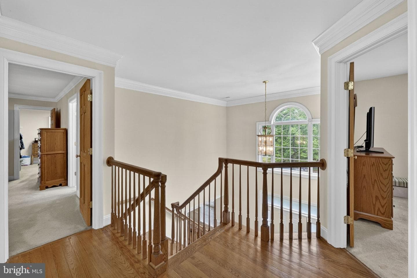 11186 Pimlico Circle photo 57