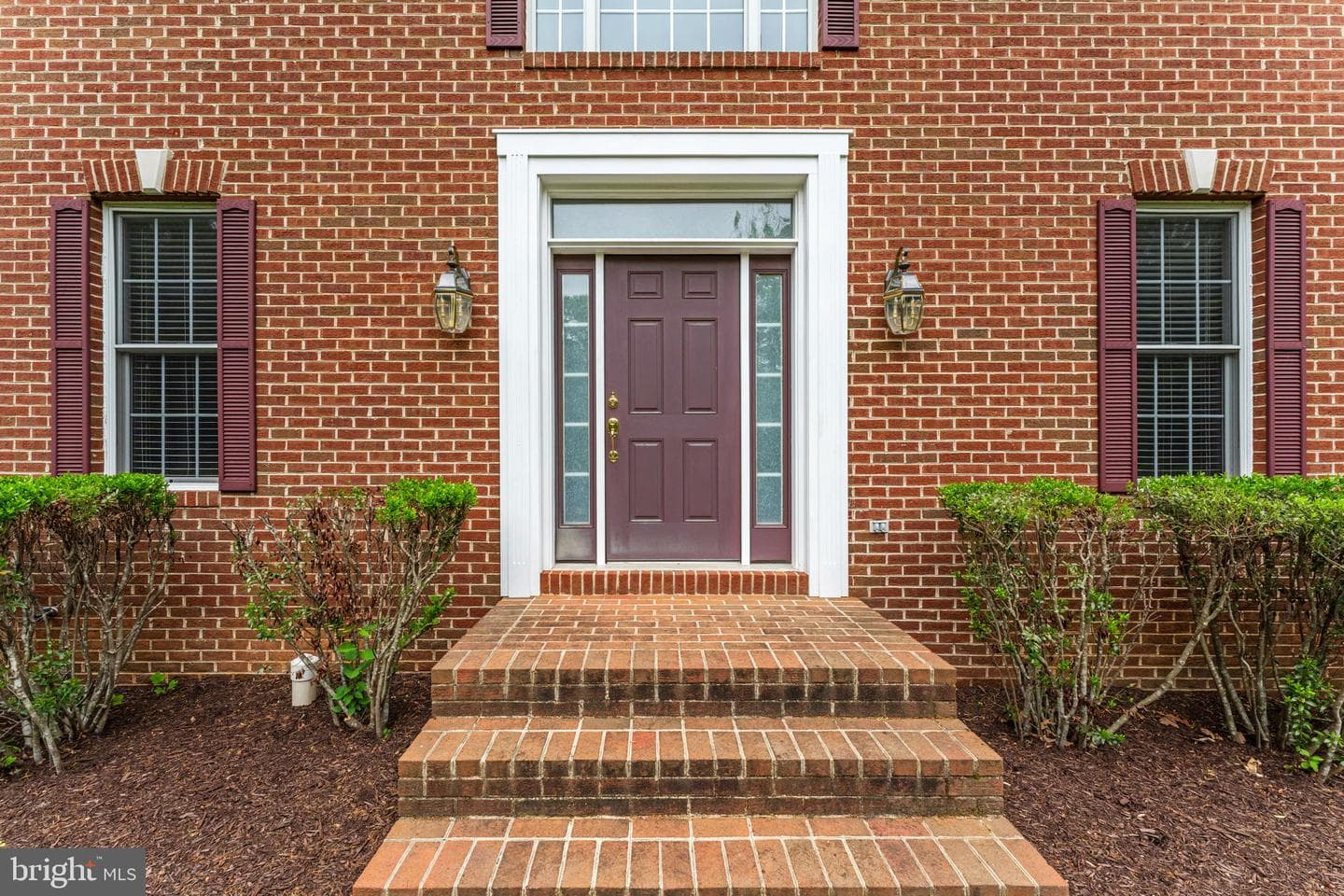 11186 Pimlico Circle photo 6