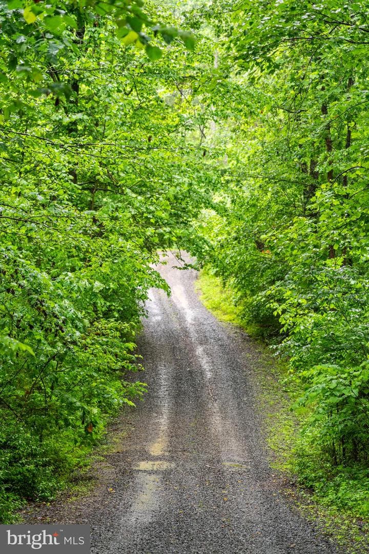 10560 Gravel Road photo 7