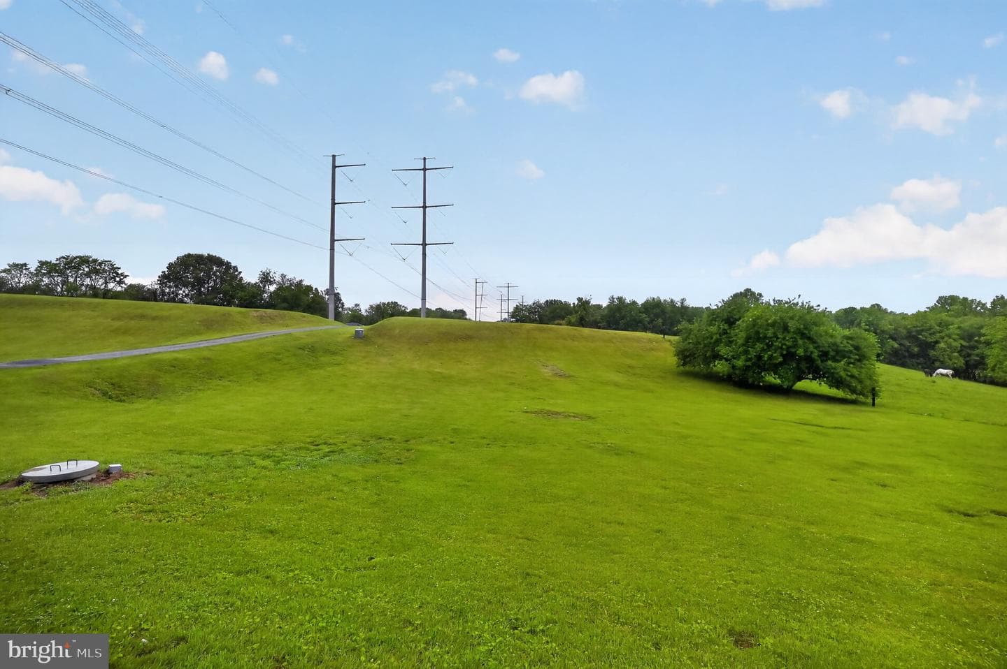 18628 Springs Road photo 6