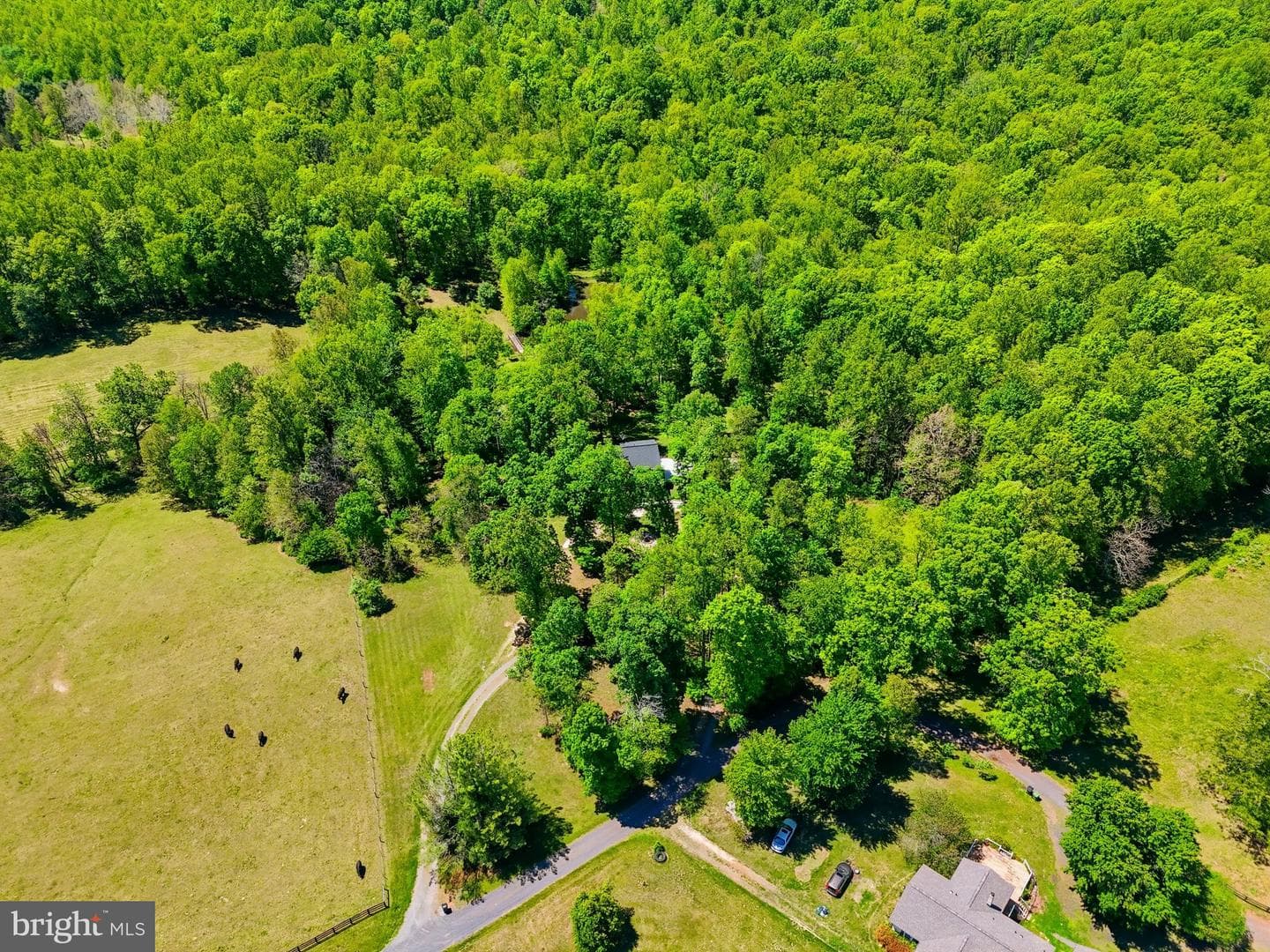 12638 Walnut Lane photo 61