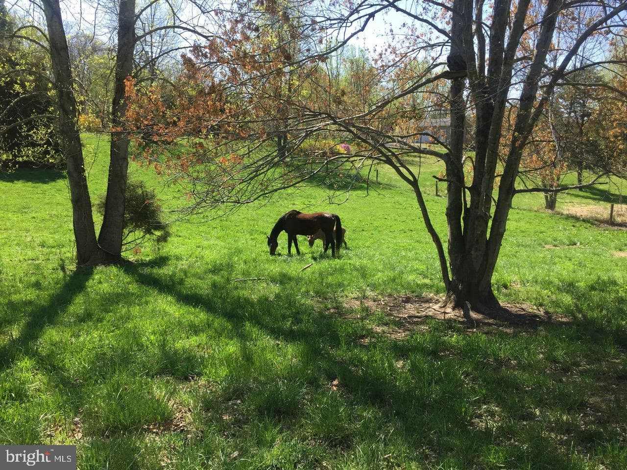 3085 Indian Run Road photo 70