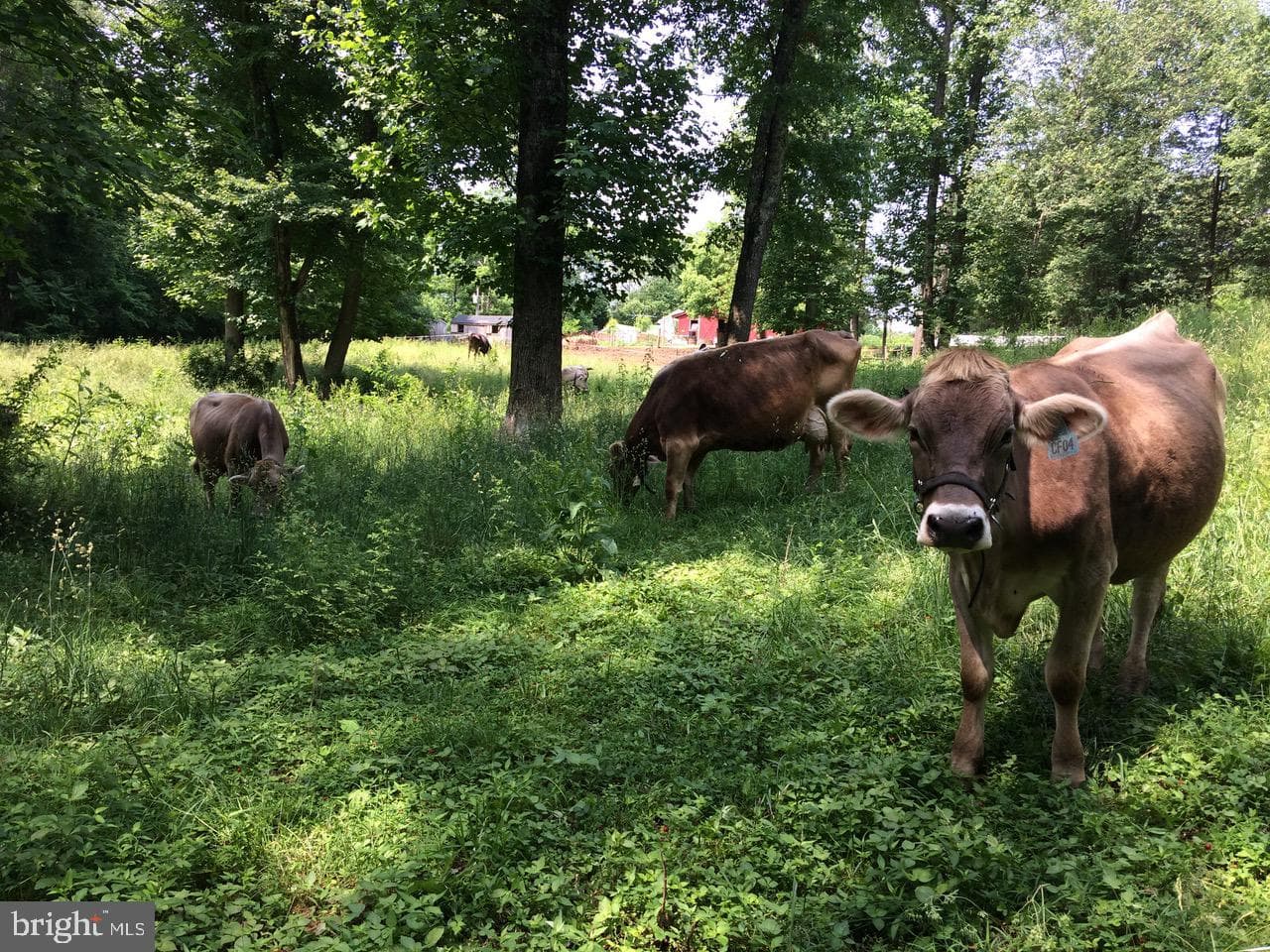 3085 Indian Run Road photo 75