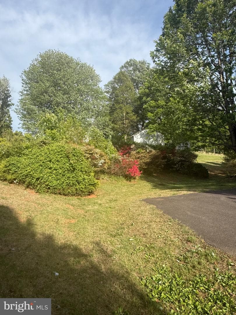13420 Chestnut Fork Road photo 3