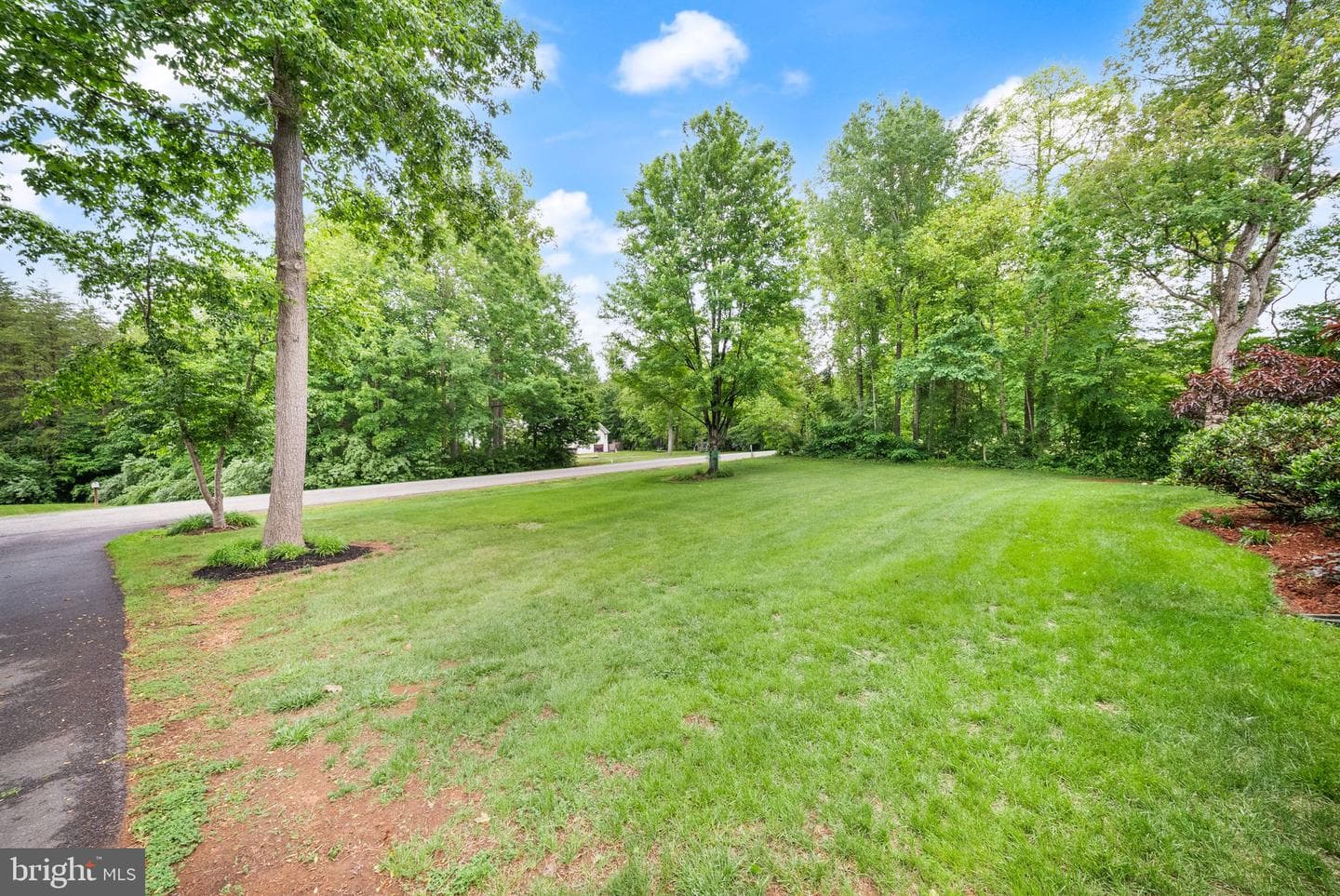 24346 Oak Forest Drive photo 66