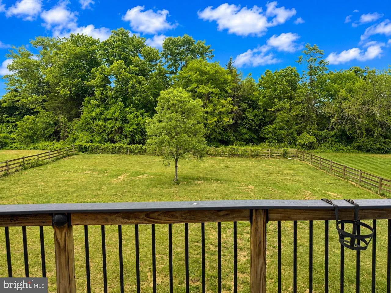 14510 Kingsmill Drive photo 45