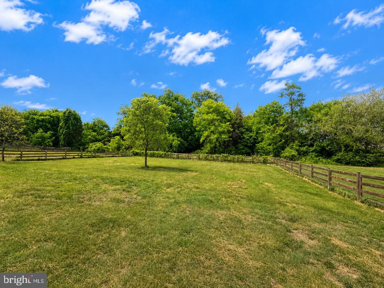 14510 Kingsmill Drive photo 46