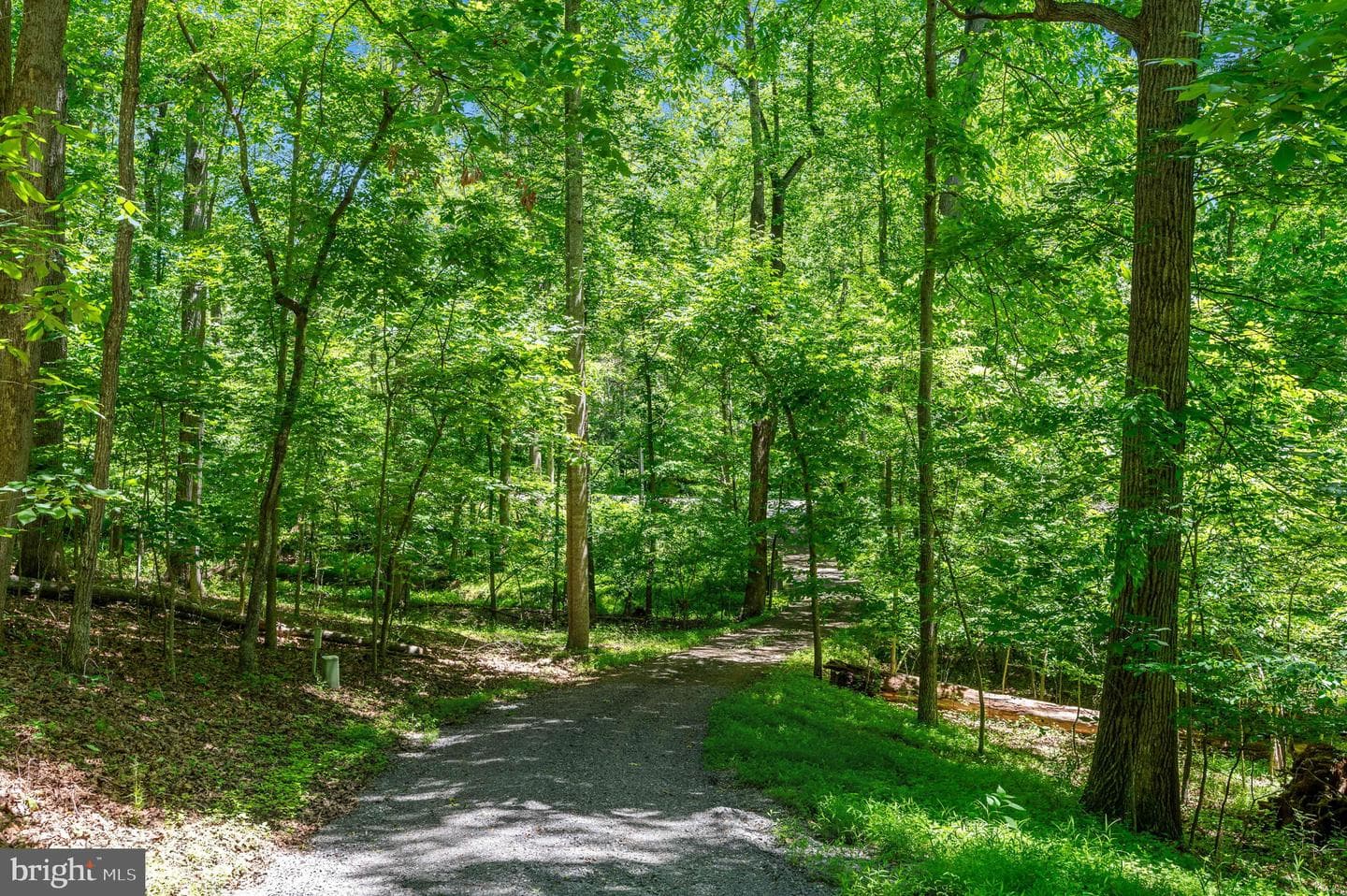 11408 Dutch Hollow Road photo 52