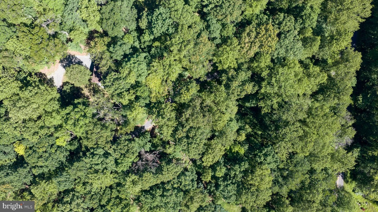 11408 Dutch Hollow Road photo 67