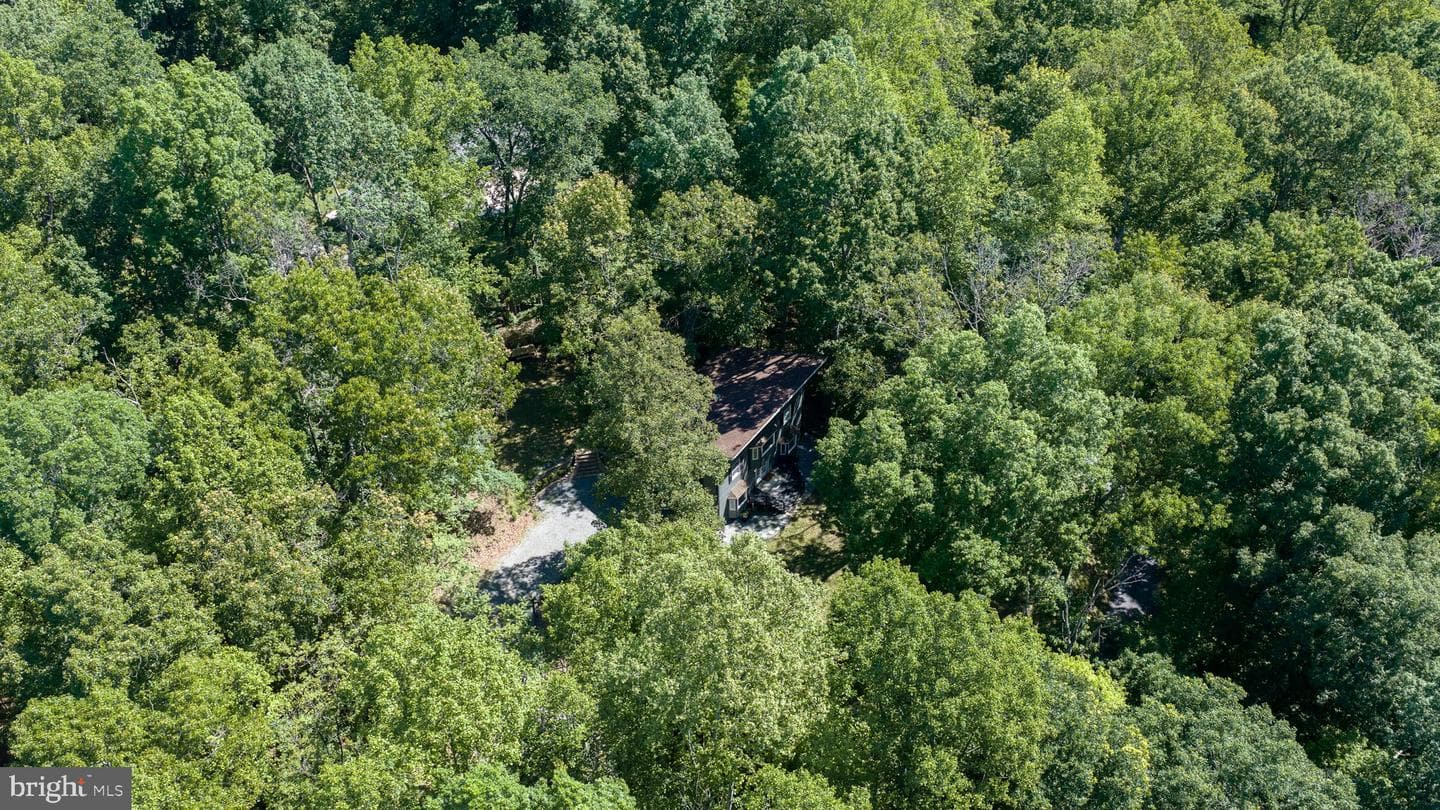 11408 Dutch Hollow Road photo 68
