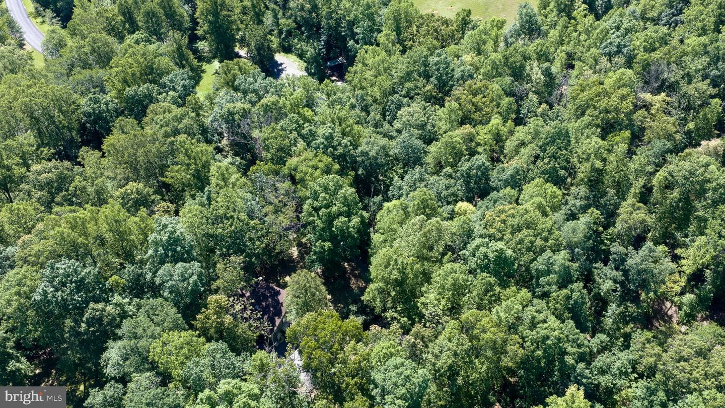 11408 Dutch Hollow Road photo 70