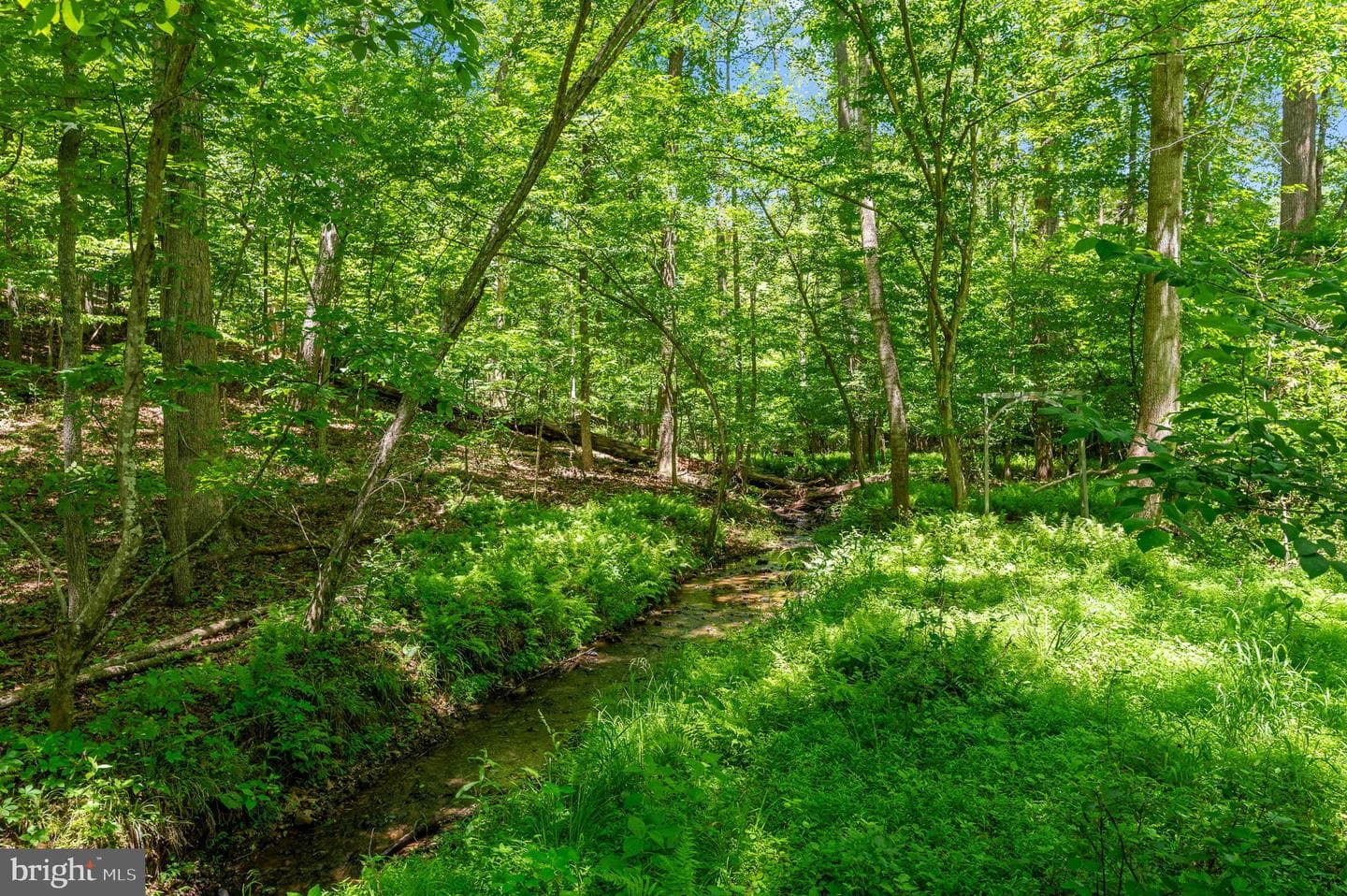 11408 Dutch Hollow Road photo 9