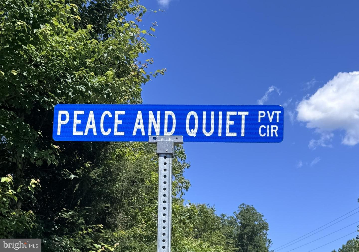 14143 Peace And Quiet Circle photo 39
