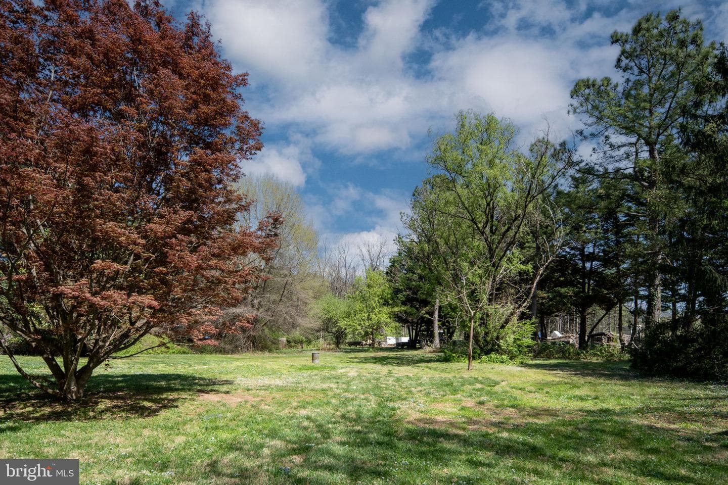 18493 Colonial Drive photo 59