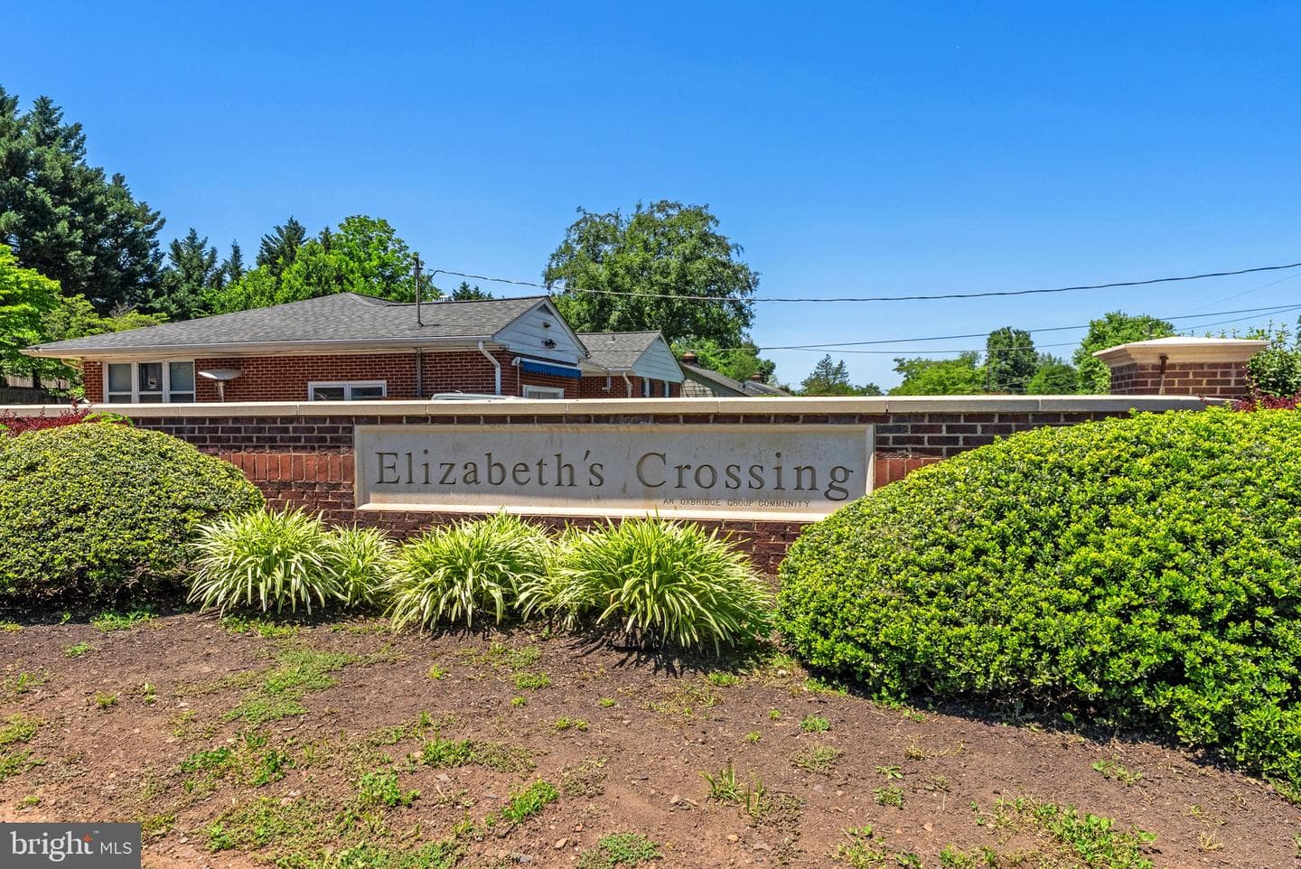 104 King Edward Court photo 66
