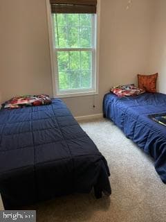 Va photo 10