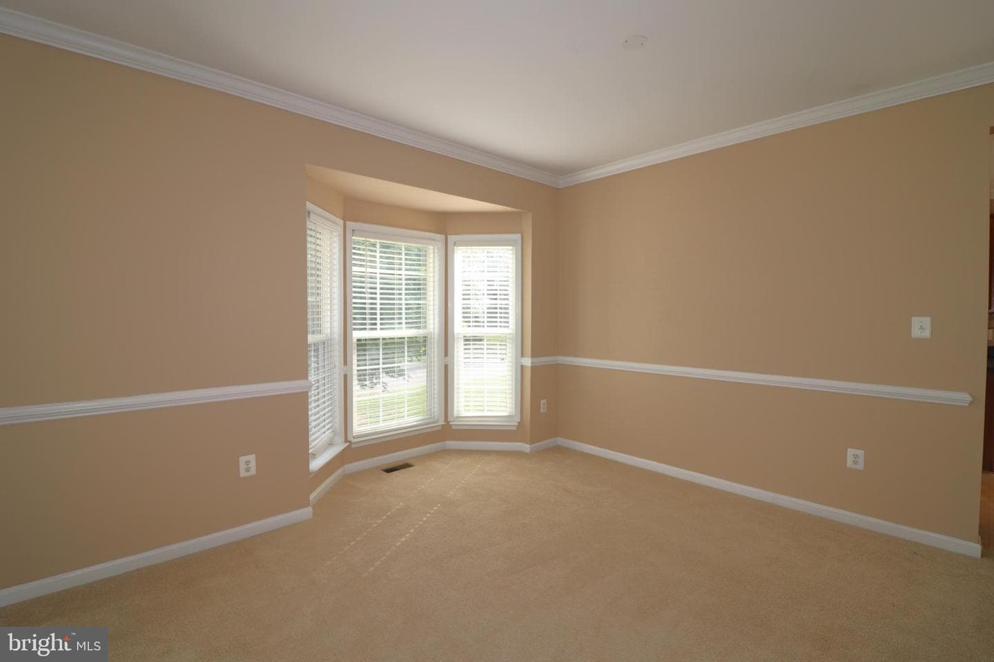 936 Persimmon photo 13
