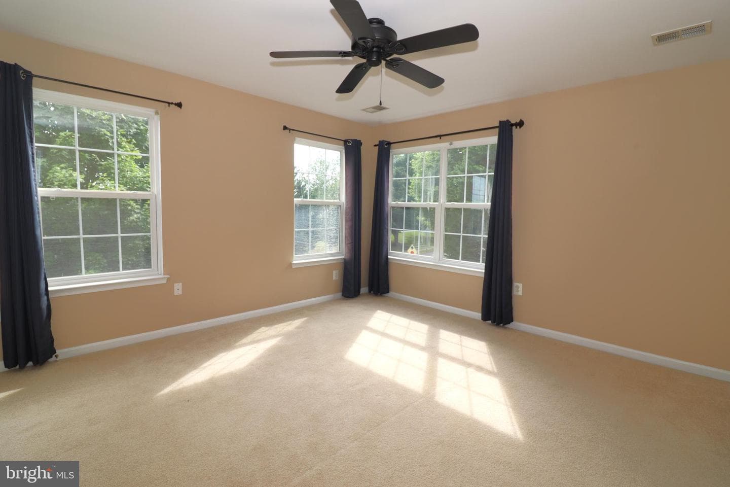 936 Persimmon photo 23