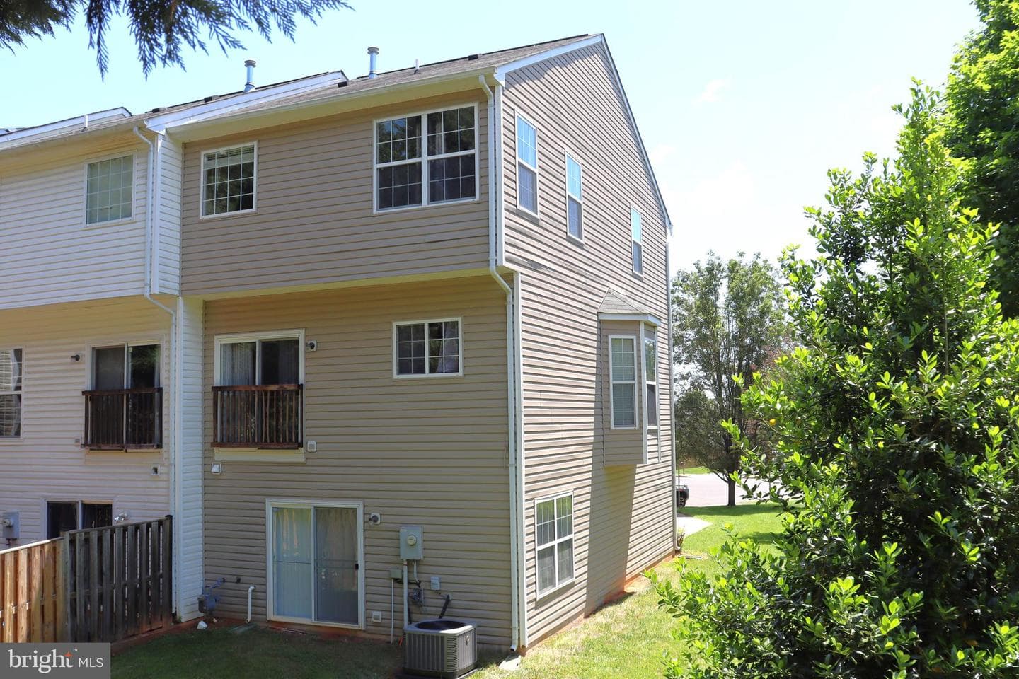 936 Persimmon photo 4