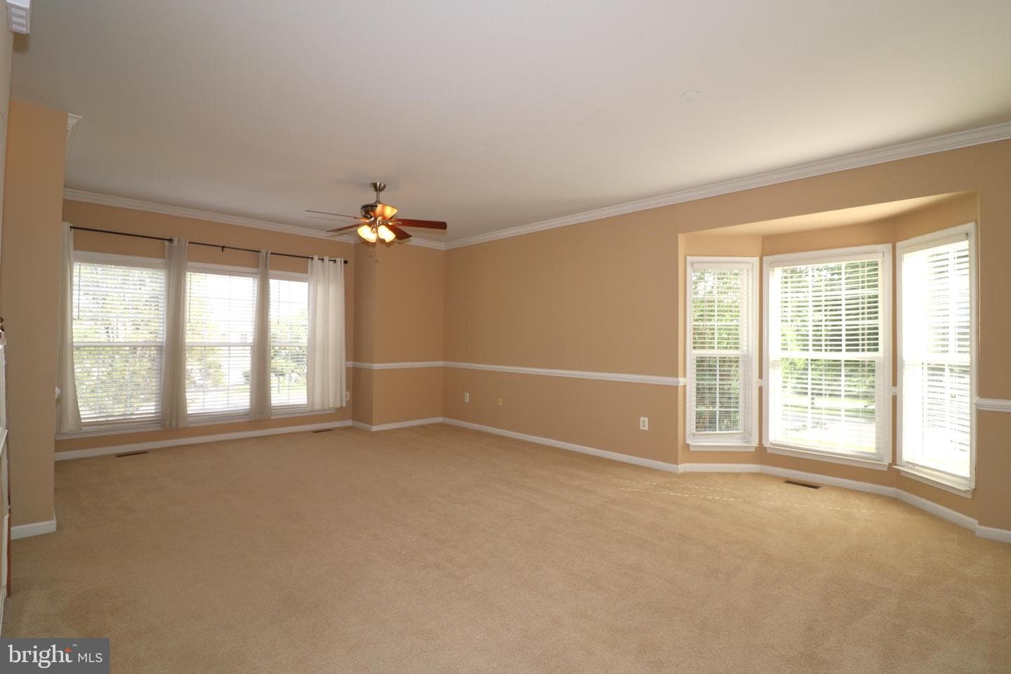 936 Persimmon photo 8