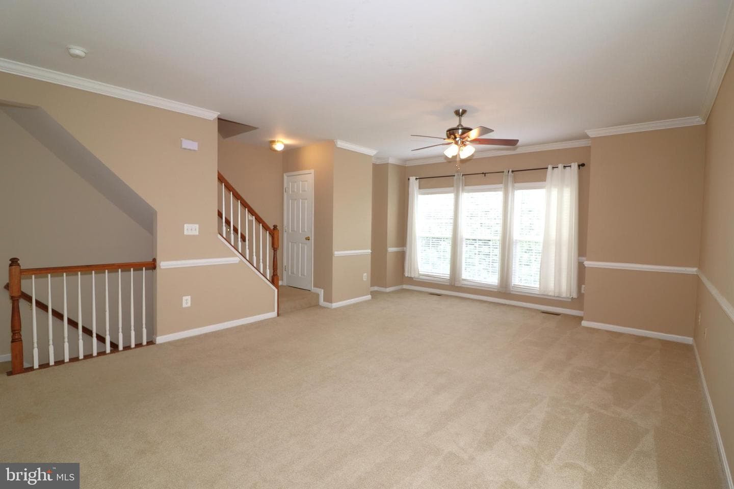 936 Persimmon photo 9