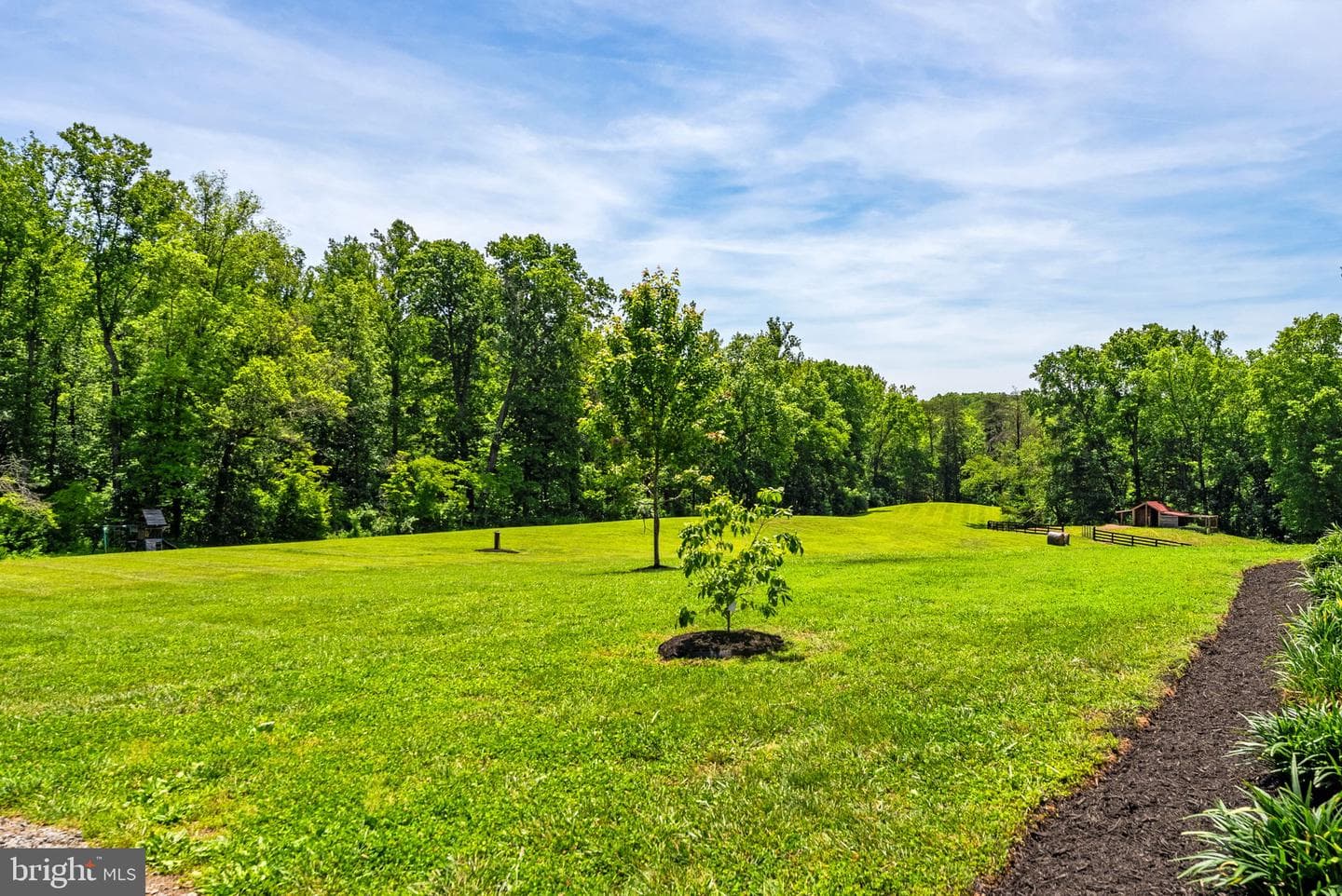 11192 Rixeyville Road photo 43