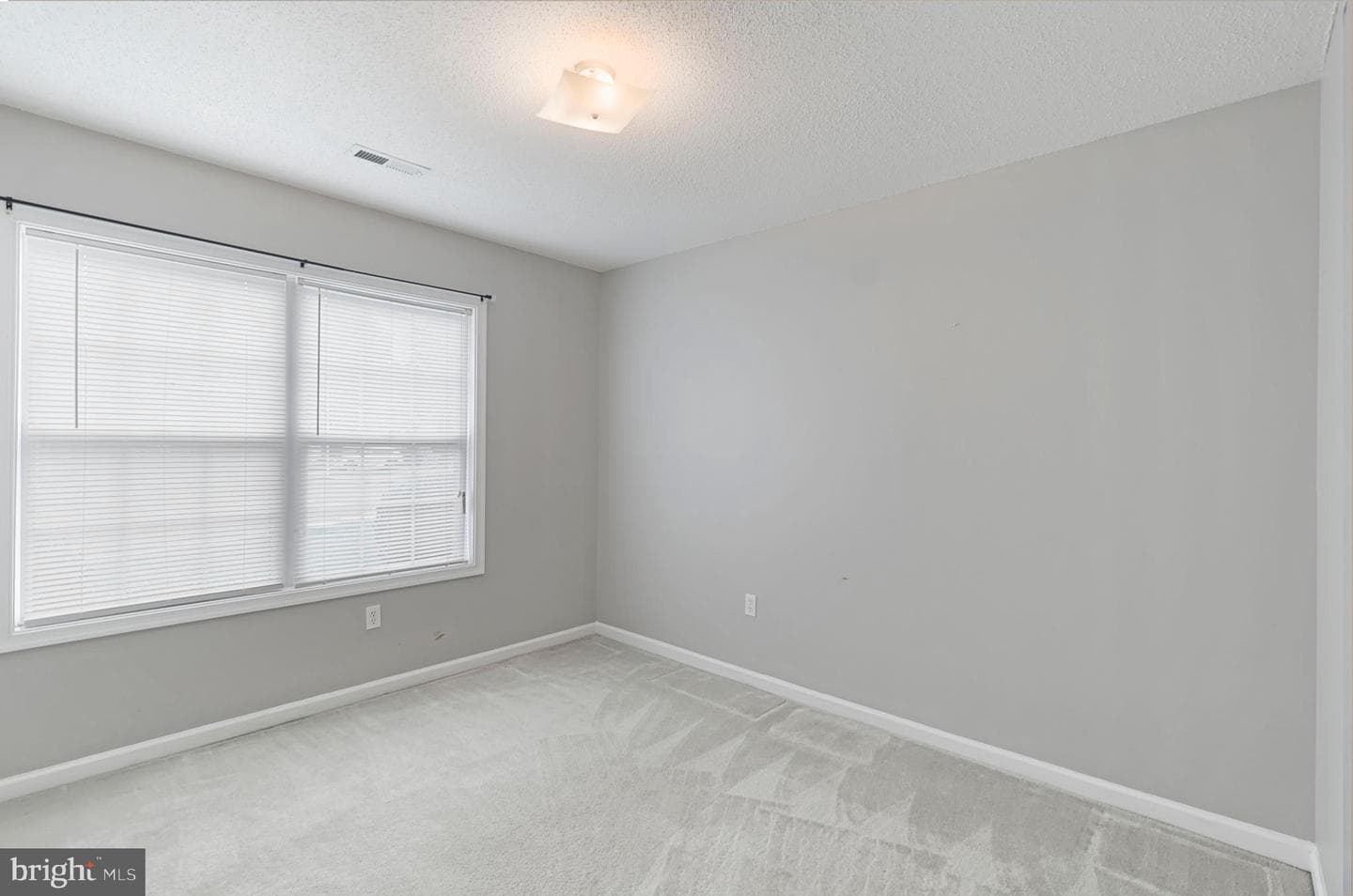 784 Ripplebrook Drive photo 20