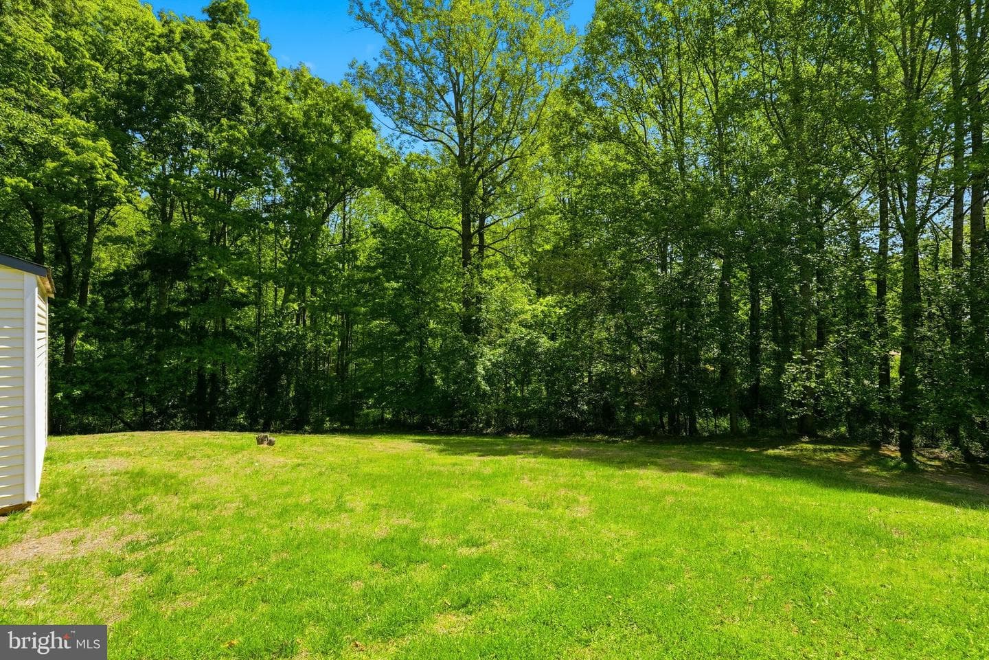 11057 Eggbornsville Road photo 35
