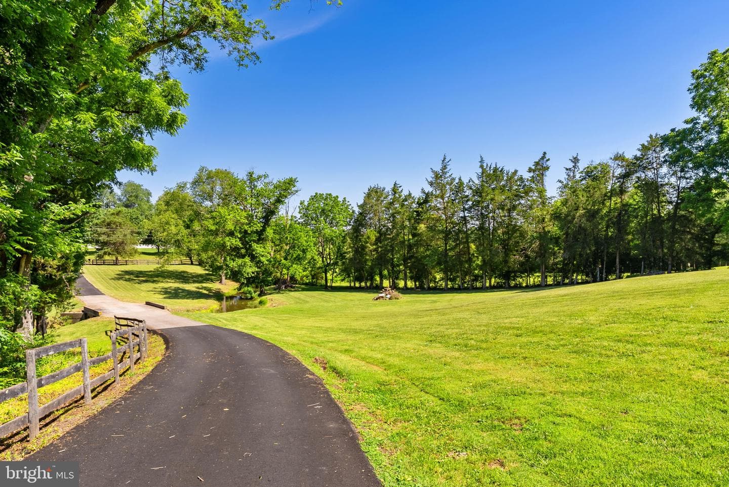 21147 Cedar Grove Road photo 11