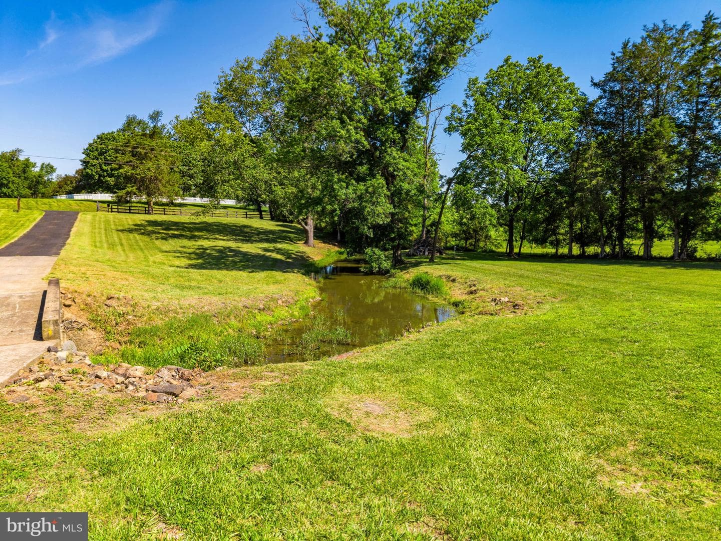 21147 Cedar Grove Road photo 6