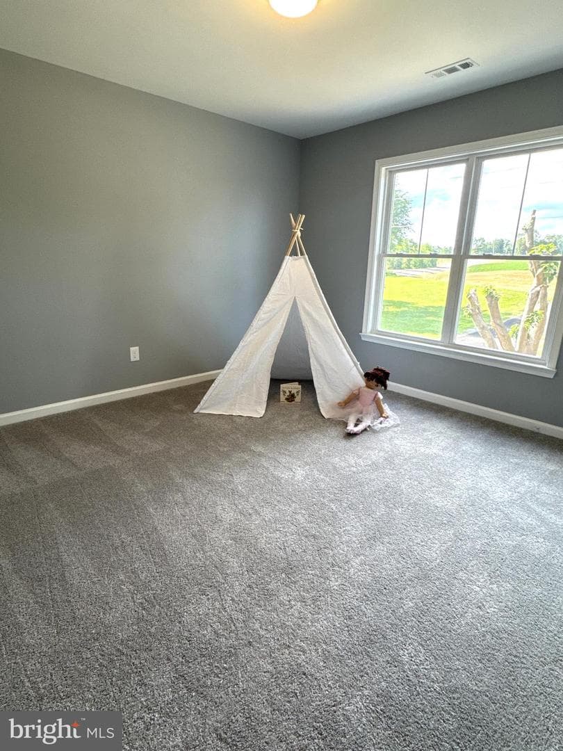 15264 Nalles photo 43